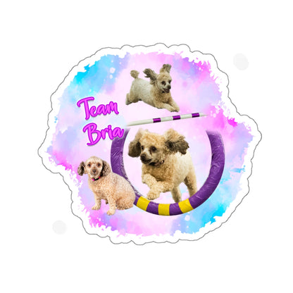 TEAM BRIA Stickers