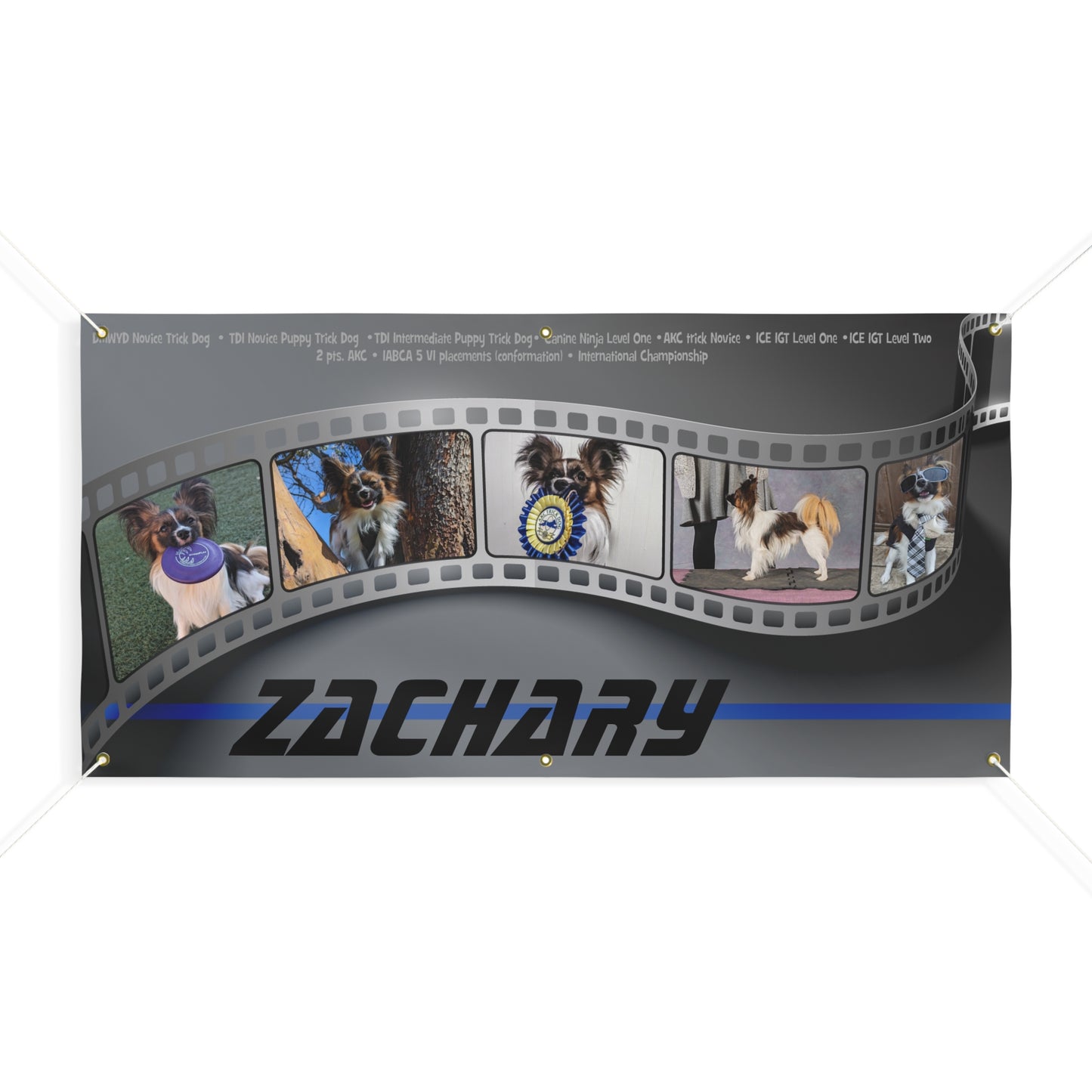 FILM STRIP Zachary Custom  Matte Banner