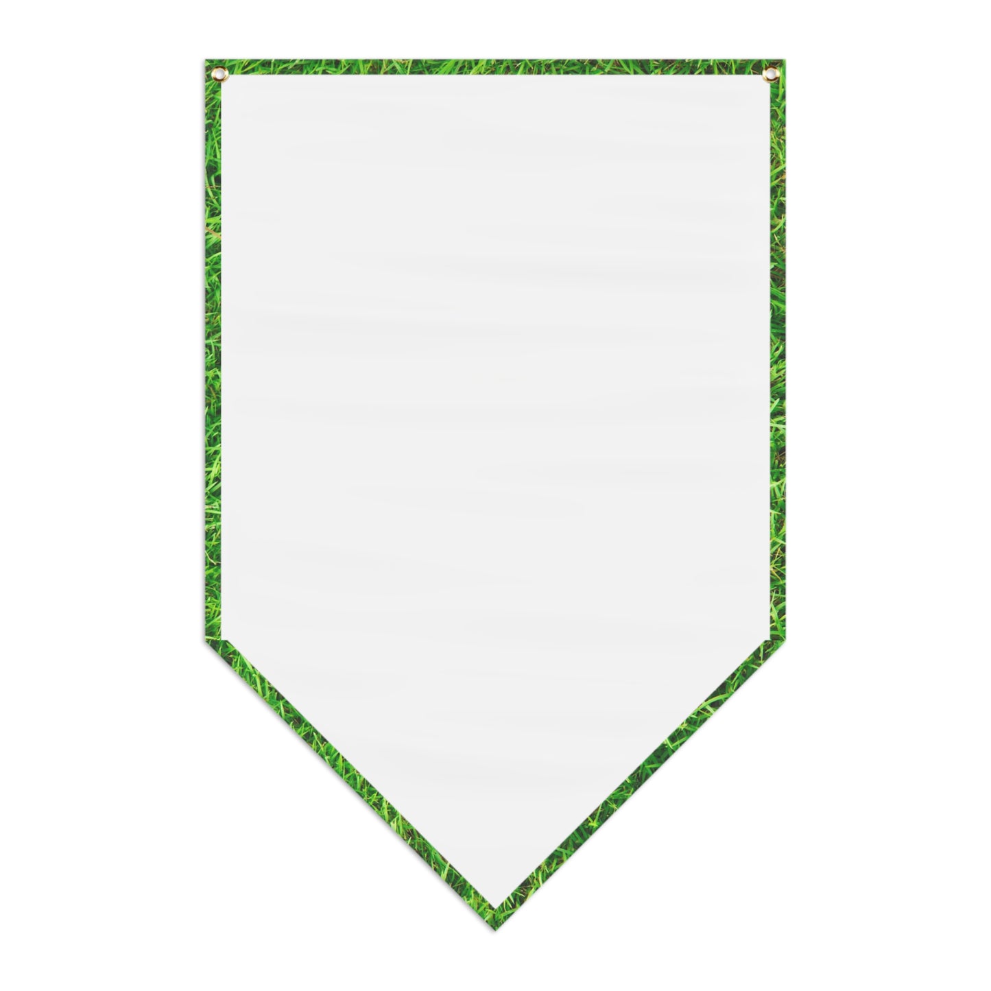 MIXED NUTS Pennant Banner