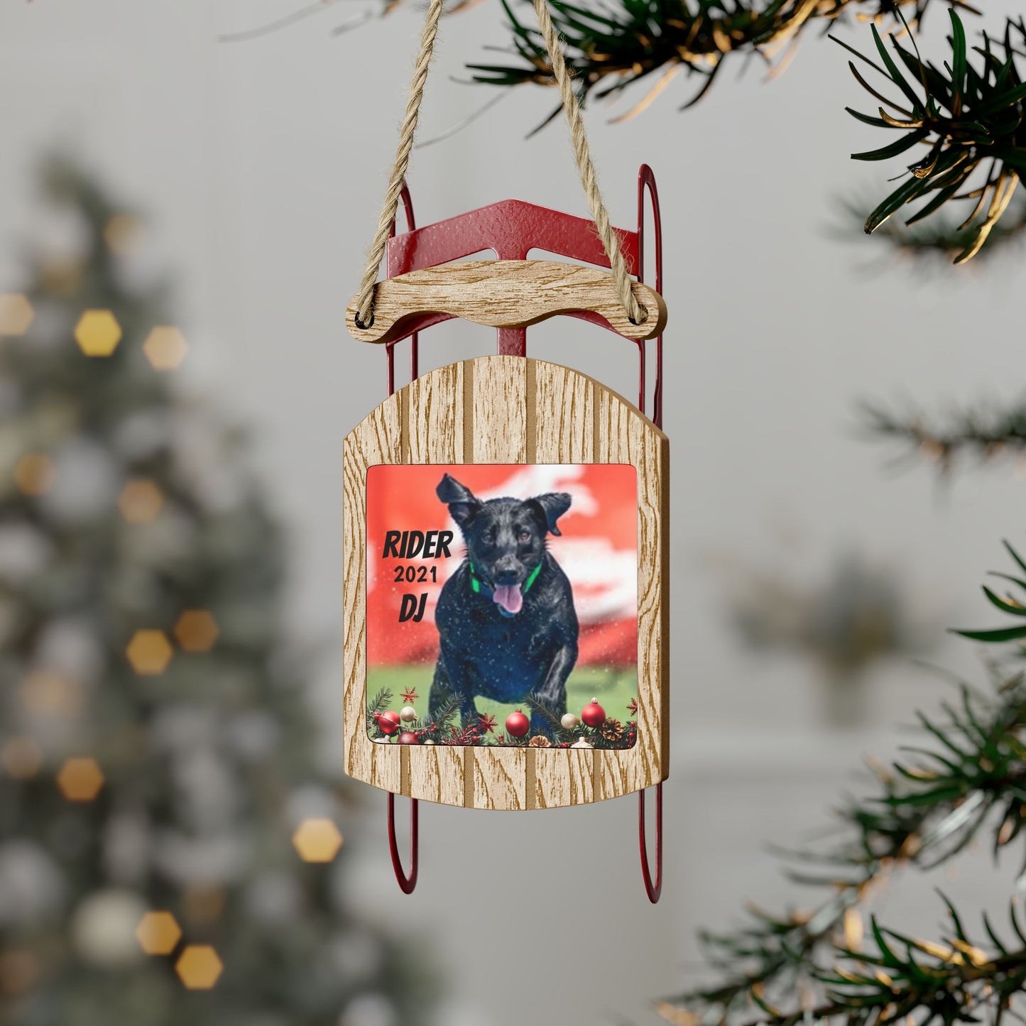 RIDER Sled Ornaments