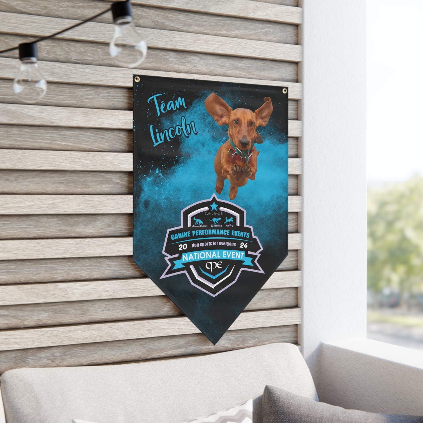 LINCOLN CPE Pennant Banner