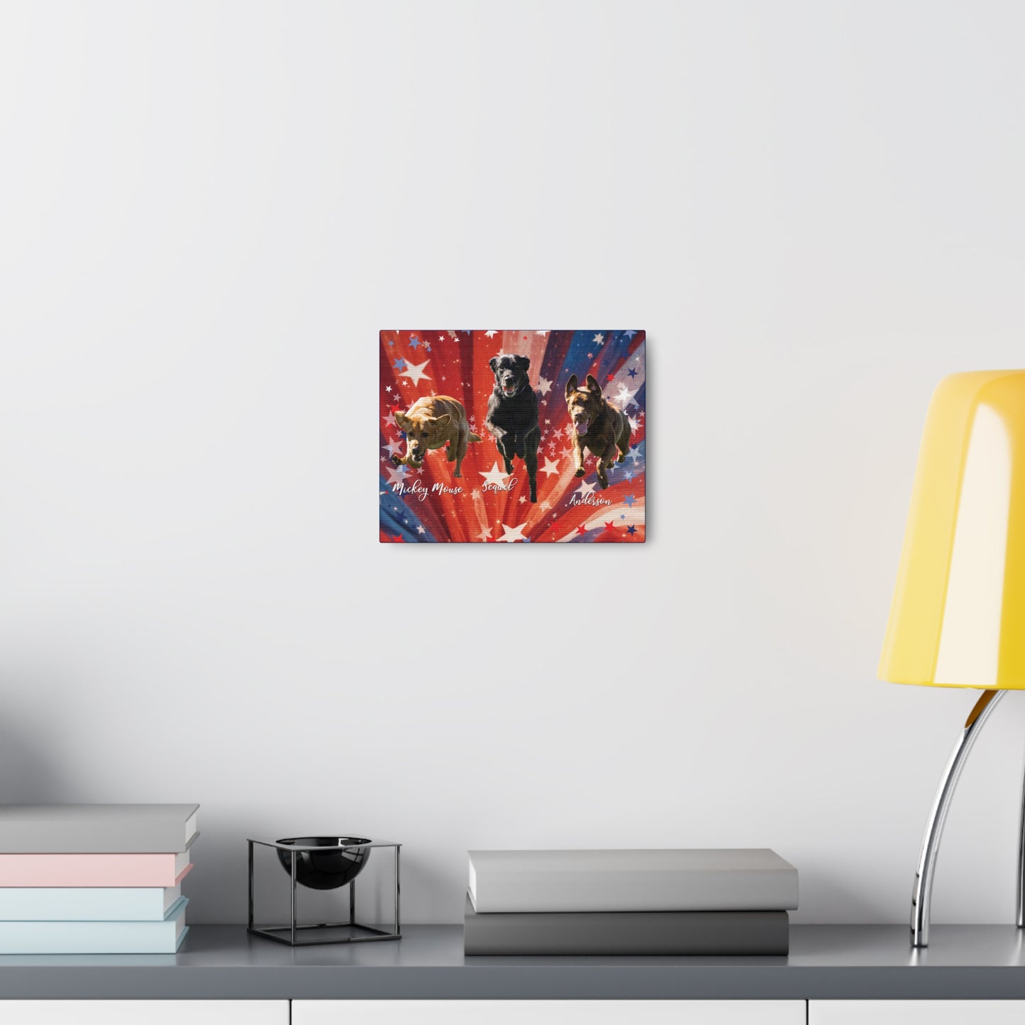 ANDERSON & FRIENDS Canvas Gallery Wraps