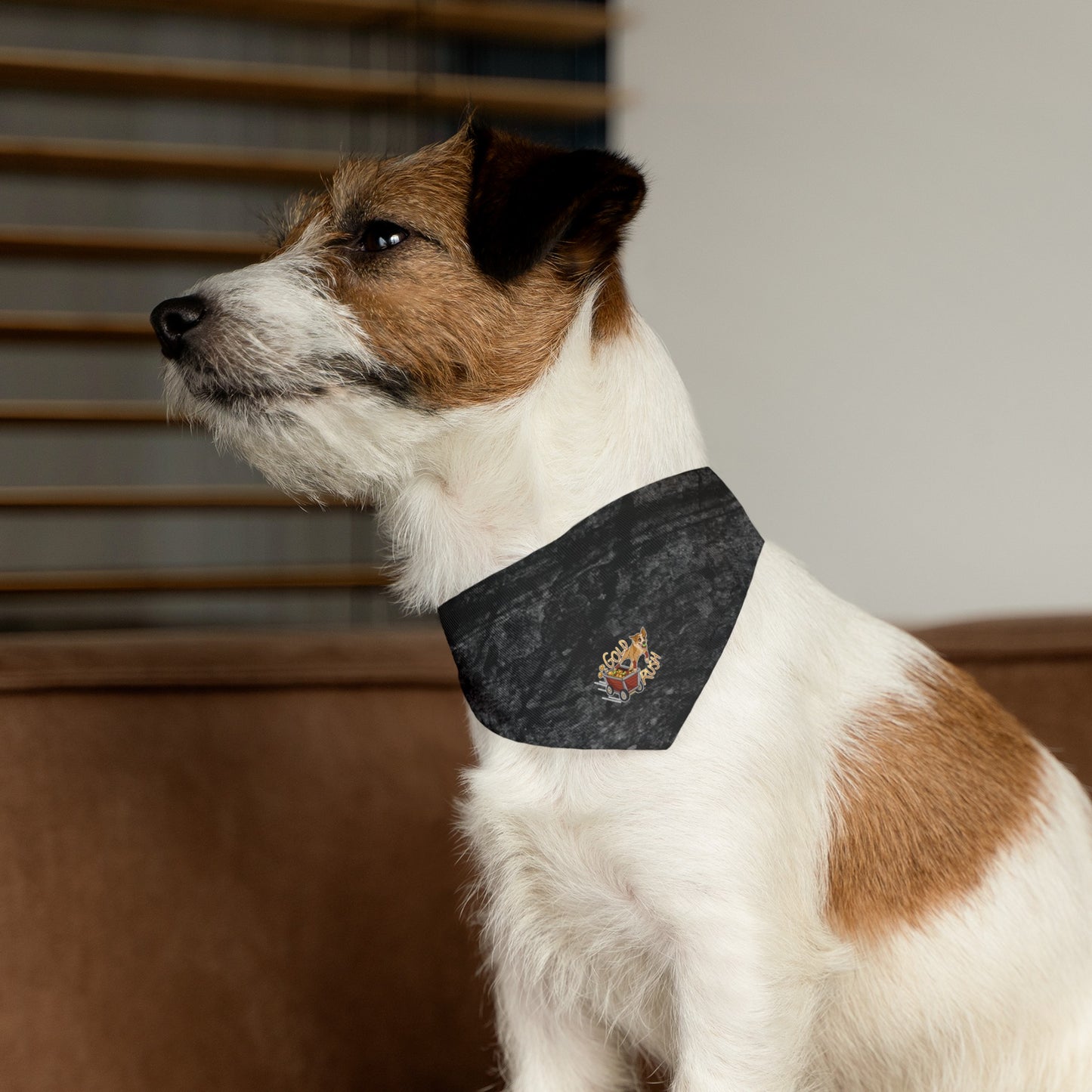 GOLD RUSH FLYBALL Pet Bandana Collar