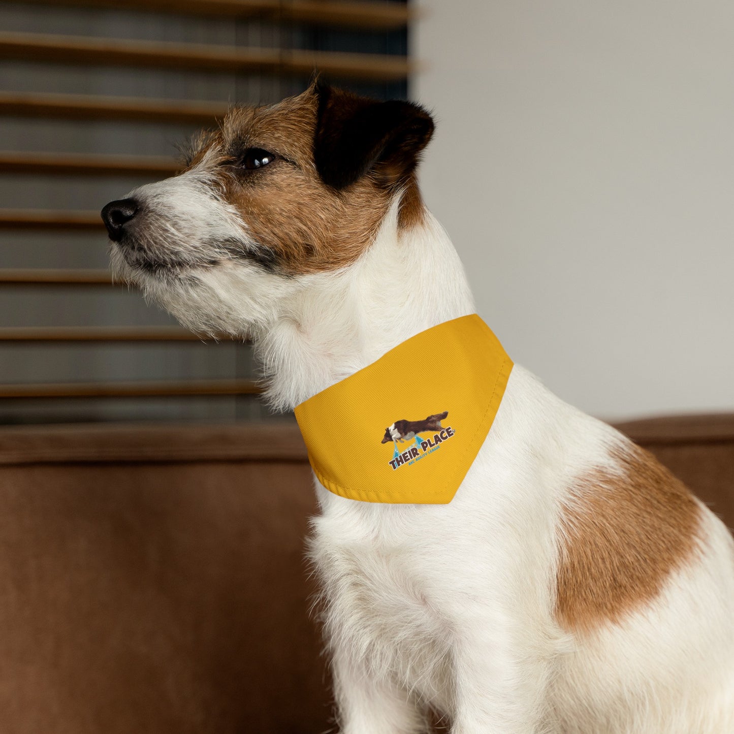 GOLD *AKC AGILITY LEAGUE Pet Bandana Collar