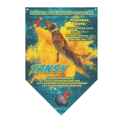 TANSY Pennant Banner