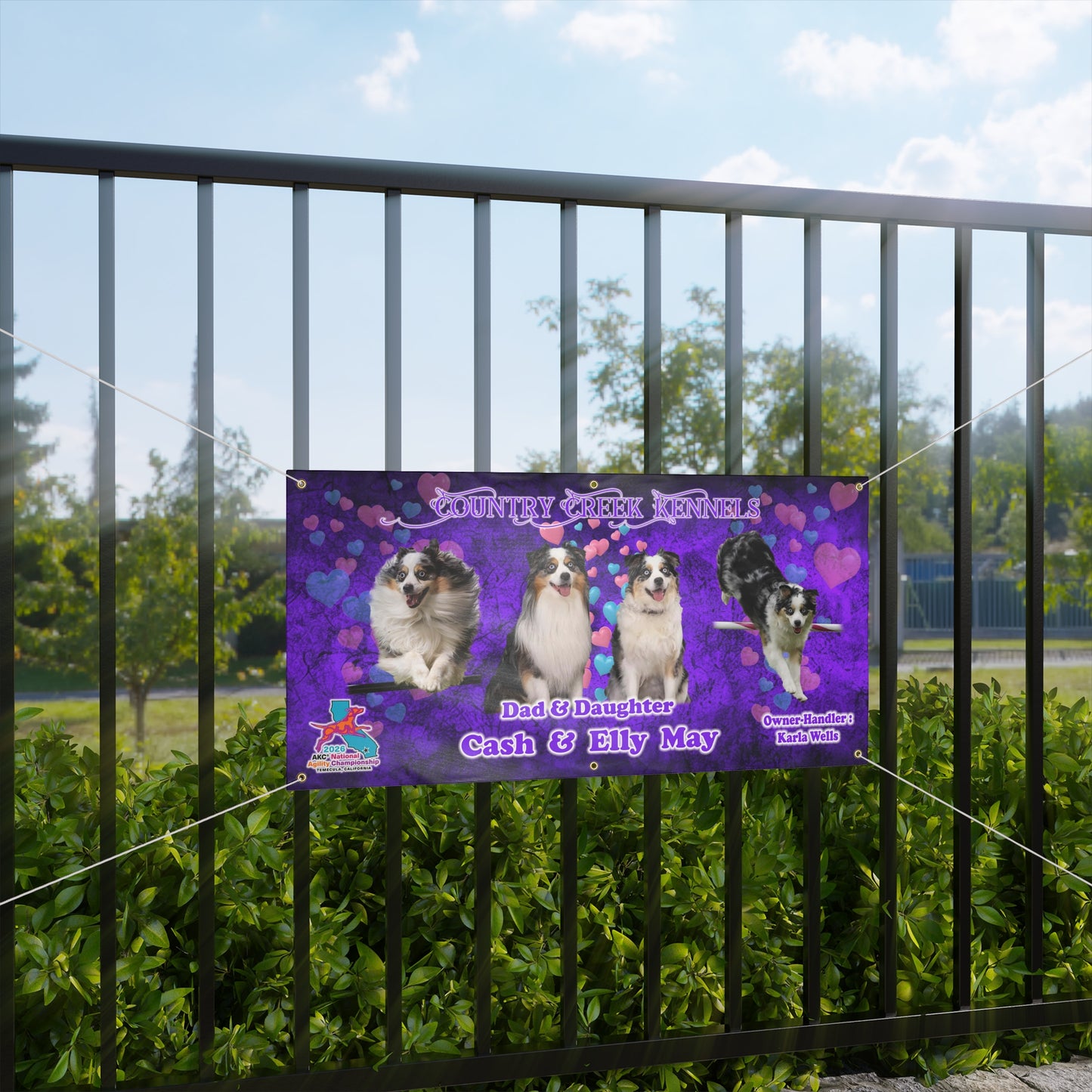 Cash & Elly May Banner