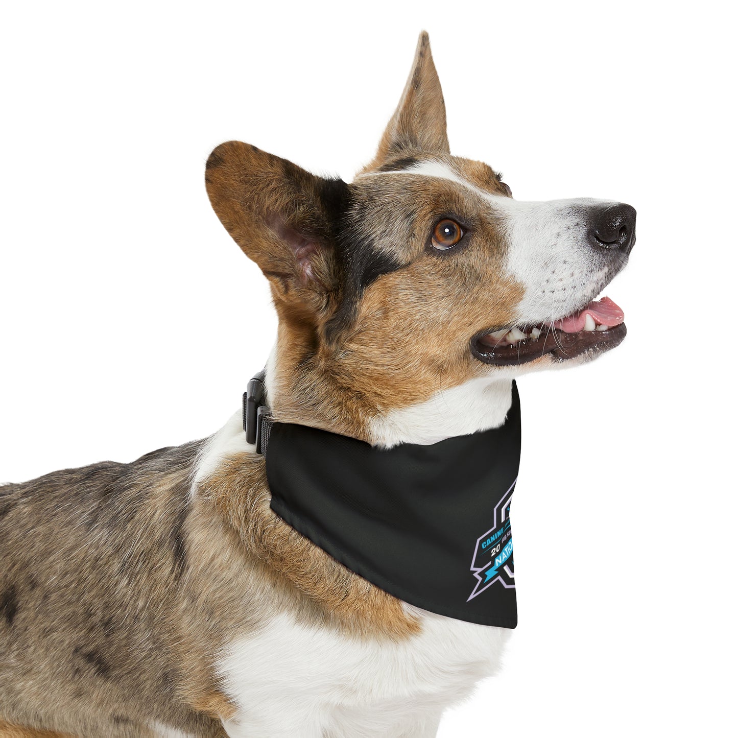 CPE NATIONALS  Bandana Collar