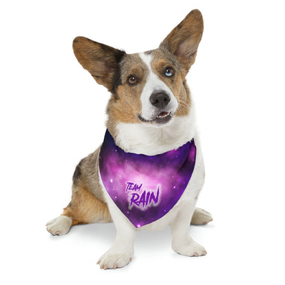 TEAM RAIN Pet Bandana Collar