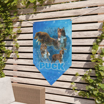 PUCK  Pennant Banner