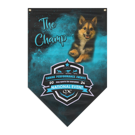 CPE  CHAMP Pennant Banner