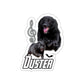 DUSTER  Sticker