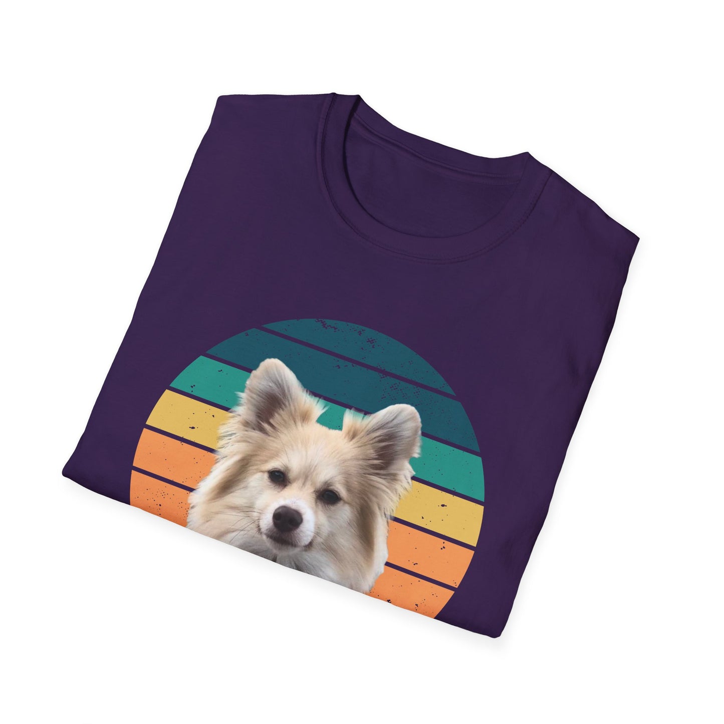 RETRO SUNSET DEXTER Unisex Softstyle T-Shirt