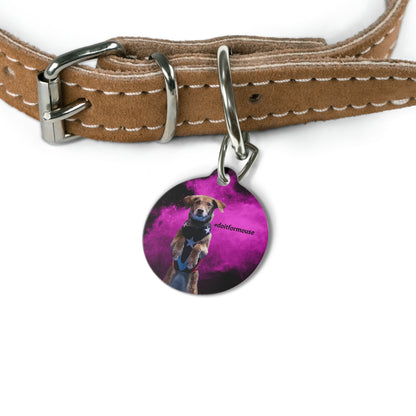#doitformouse  Pet Tag