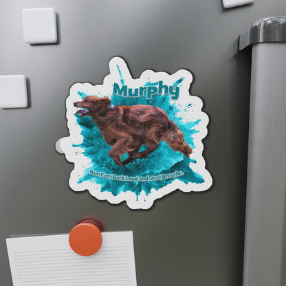 MURPHY  Magnets