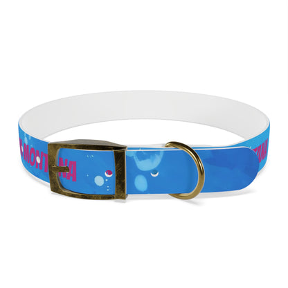 MONTANA NADD Dog Collar