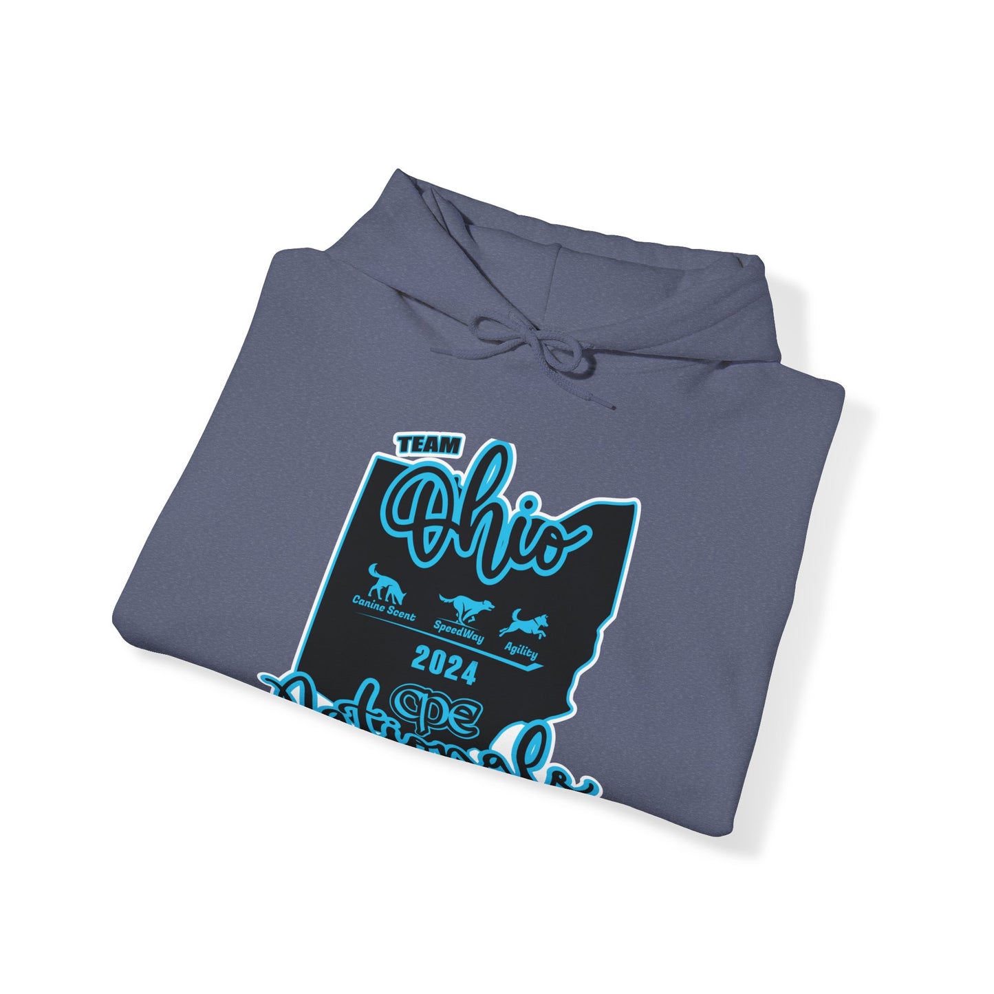 *** TEAM GIZMO CPE TEAM OHIO Unisex Heavy Blend™ Hooded Sweatshirt