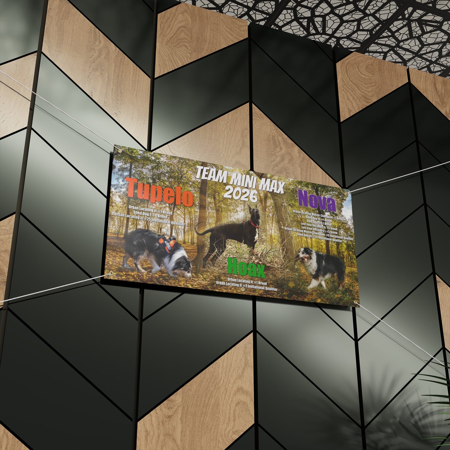 TEAM MINI MAX  Banner