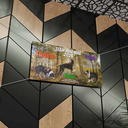 TEAM MINI MAX  Banner