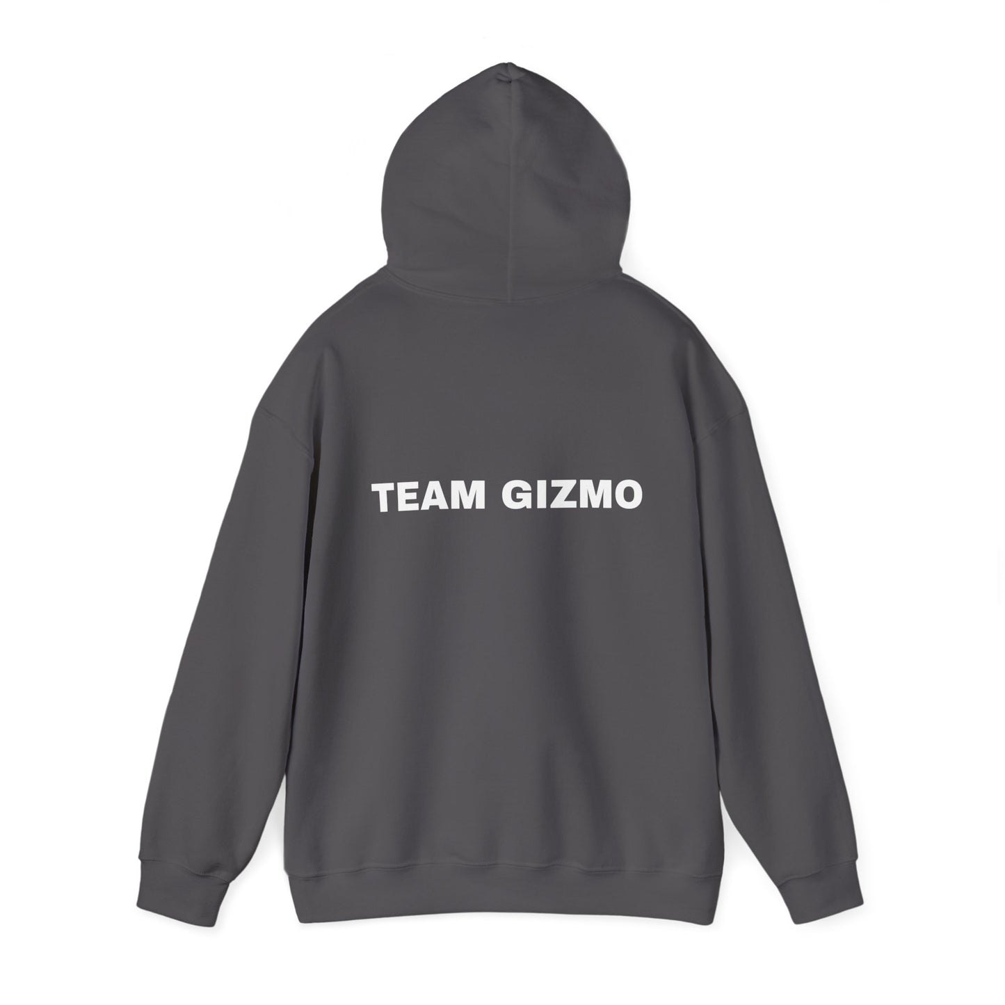 *** TEAM GIZMO CPE TEAM OHIO Unisex Heavy Blend™ Hooded Sweatshirt