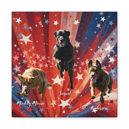 ANDERSON & FRIENDS Canvas Gallery Wraps