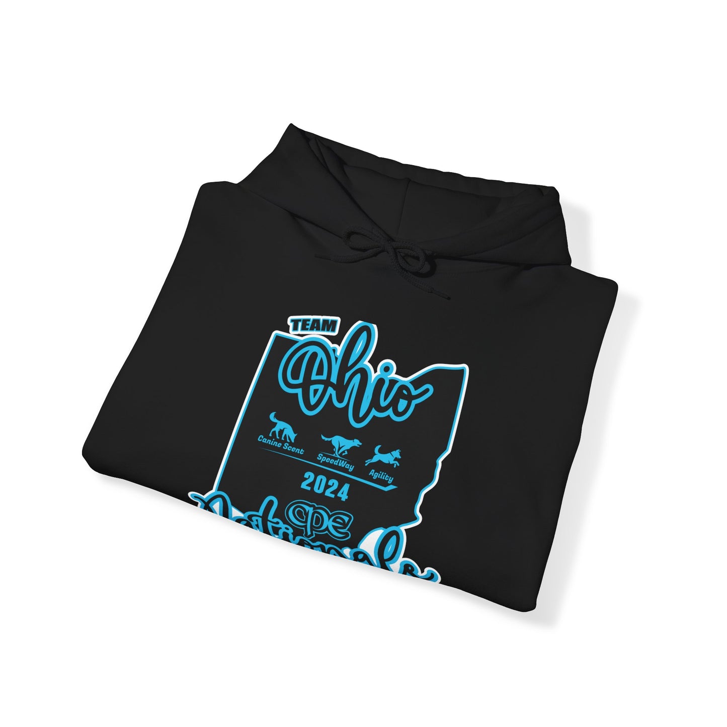 *** TEAM GIZMO CPE TEAM OHIO Unisex Heavy Blend™ Hooded Sweatshirt