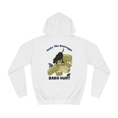 Copy of DS TESLA BARN HUNT Unisex College Hoodie