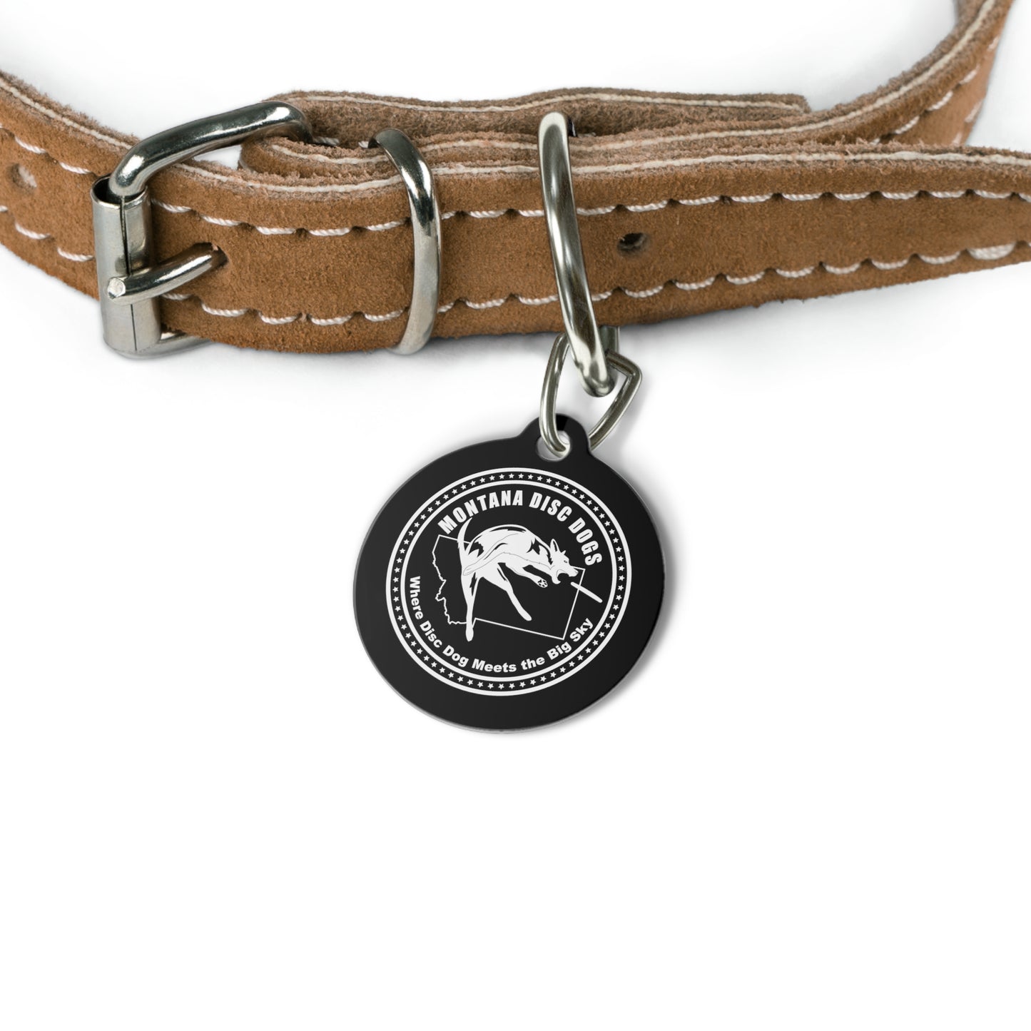 MONTANA DISC DOGS Pet Tag