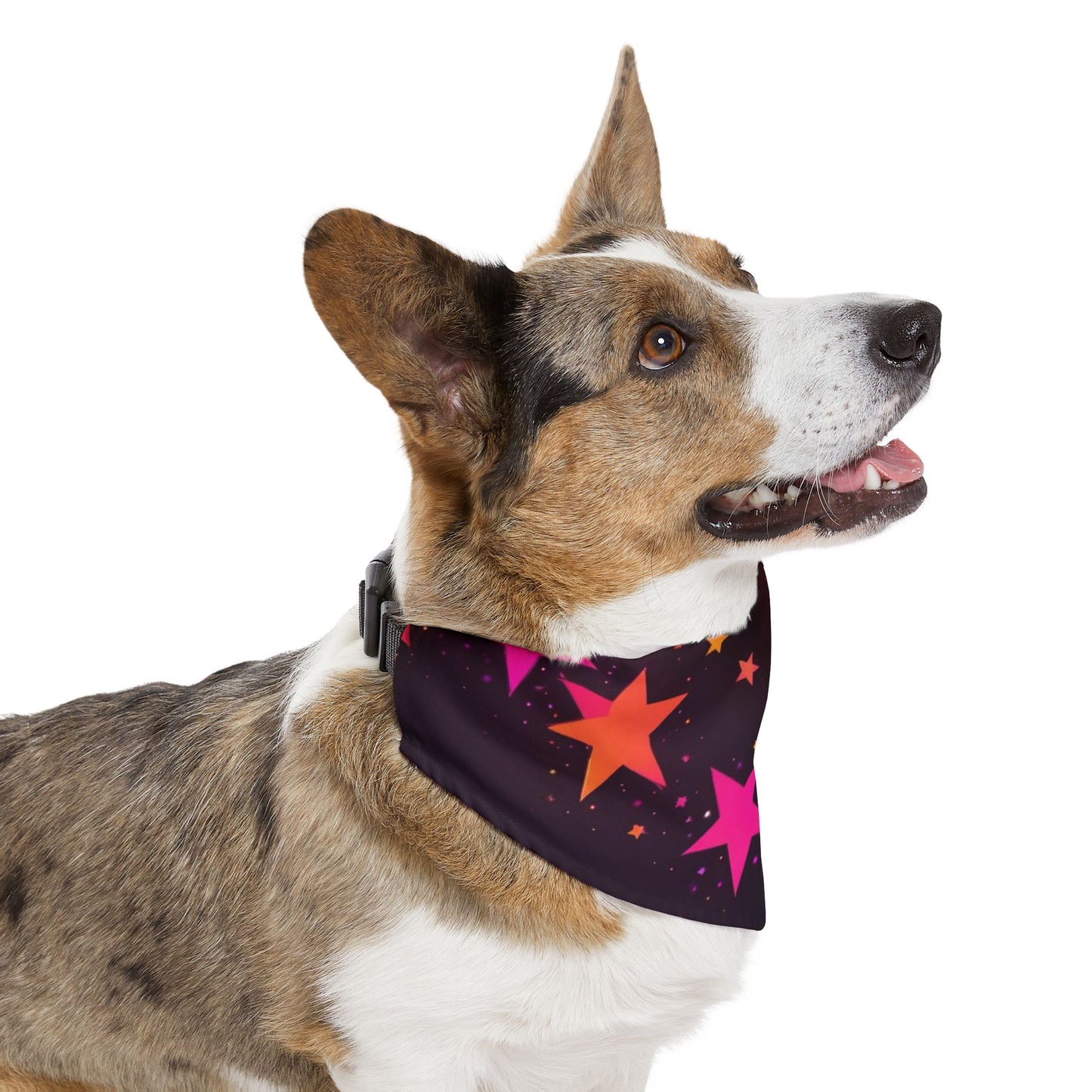 PINK ORANGE  STARS ON BLACK Pet Bandana Collar