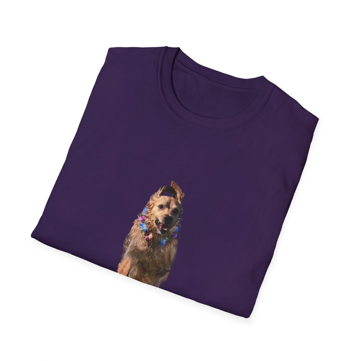 ENZO! Unisex Softstyle T-Shirt