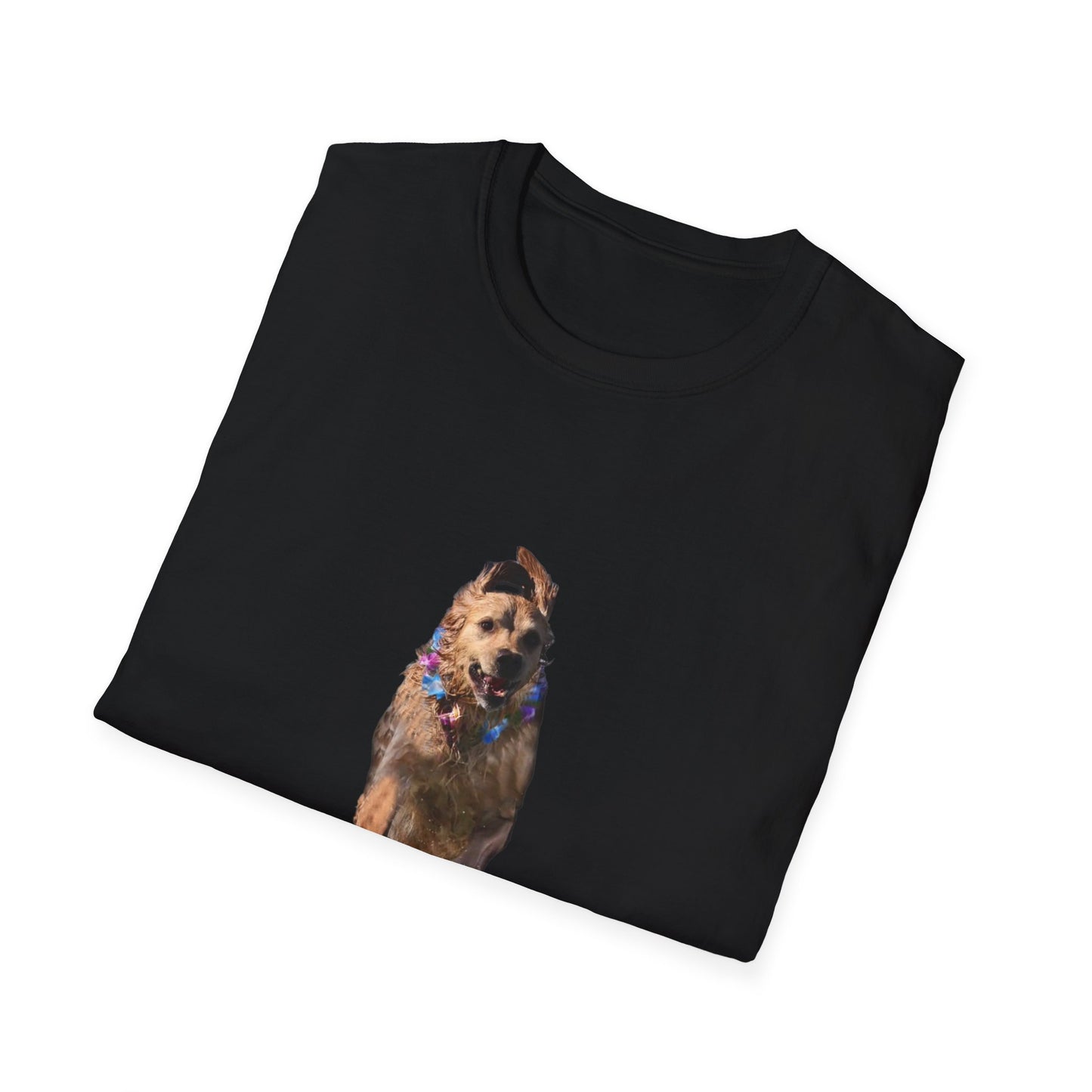ENZO! Unisex Softstyle T-Shirt