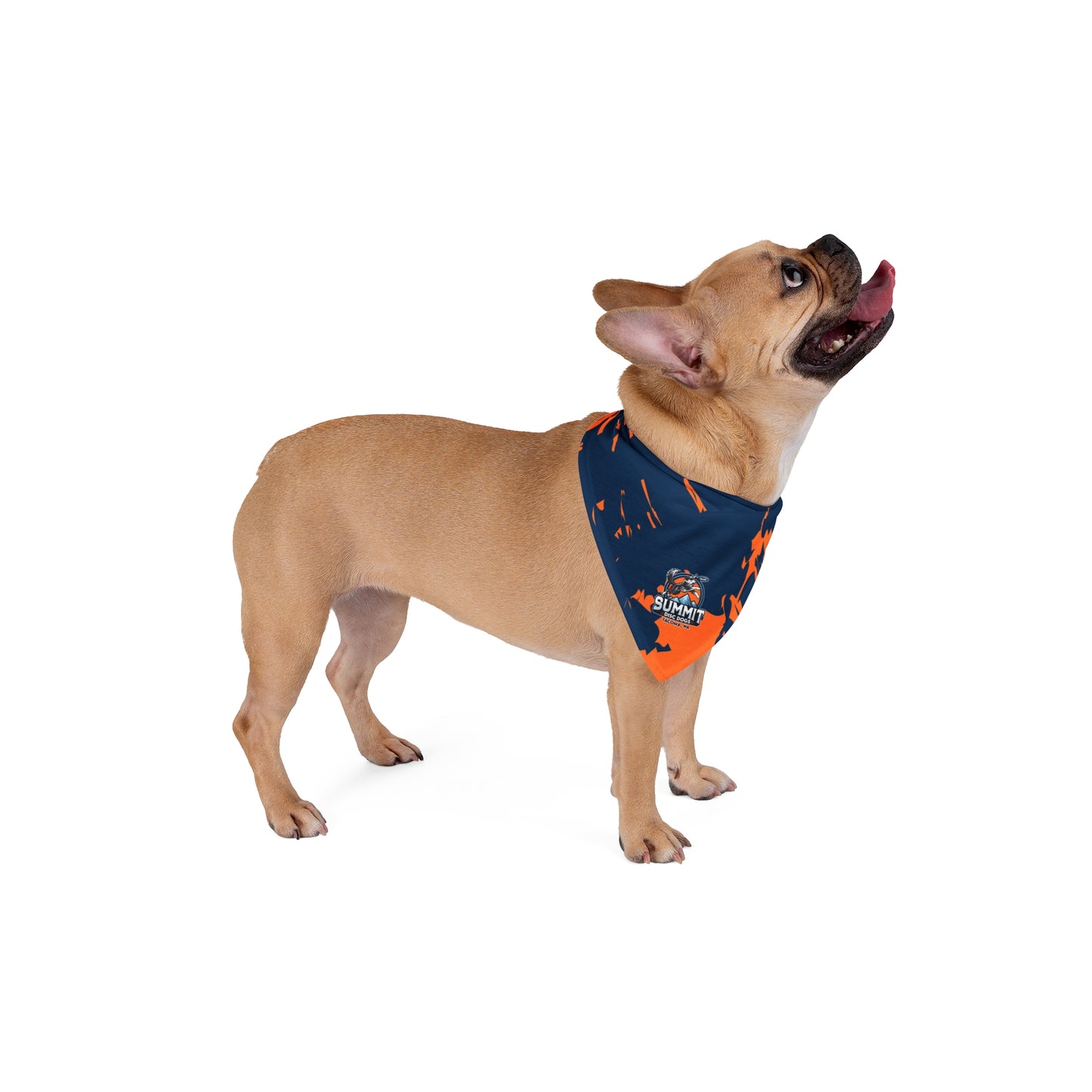 SUMMIT DISC DOGS  Pet Bandana