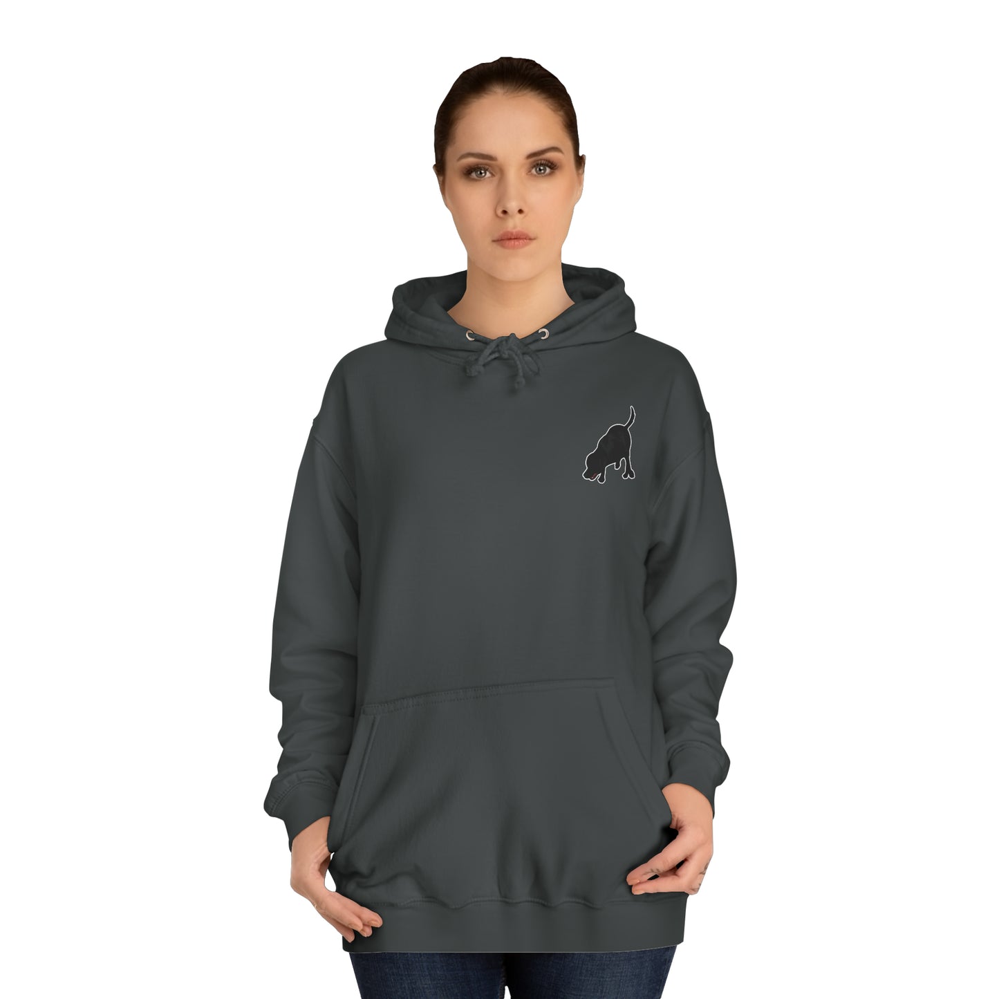 Copy of DS TESLA BARN HUNT Unisex College Hoodie