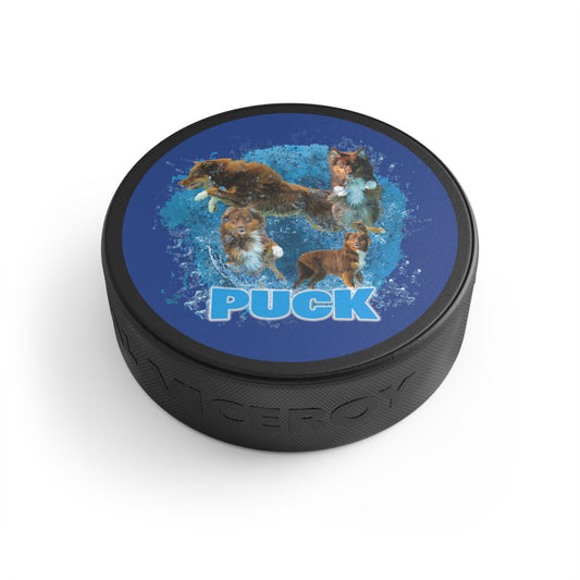 PUCK Hockey Puck