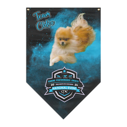 chole pom CPE Pennant Banner