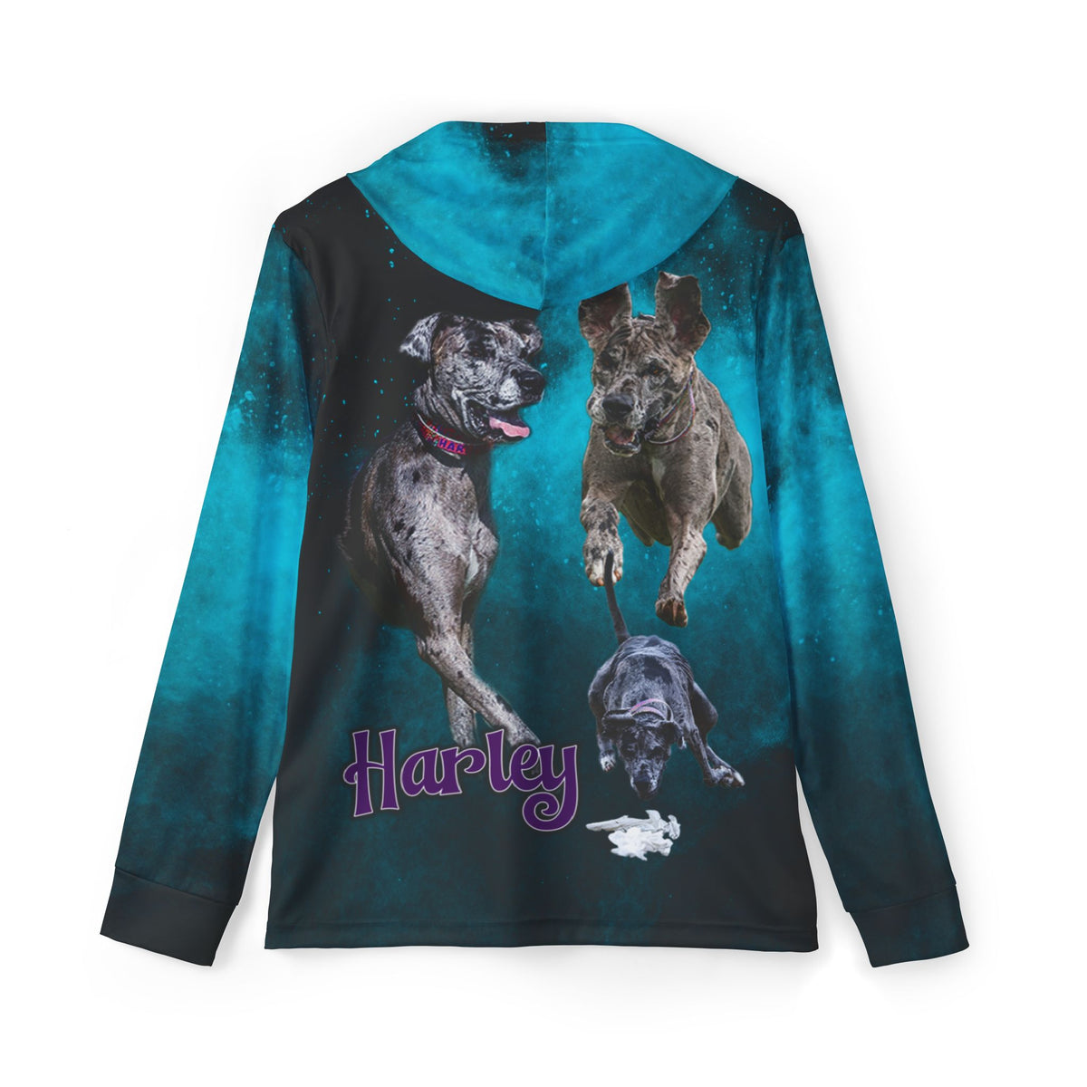 HARLEY Sports Warmup Hoodie