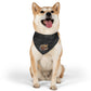 GOLD RUSH FLYBALL Pet Bandana Collar