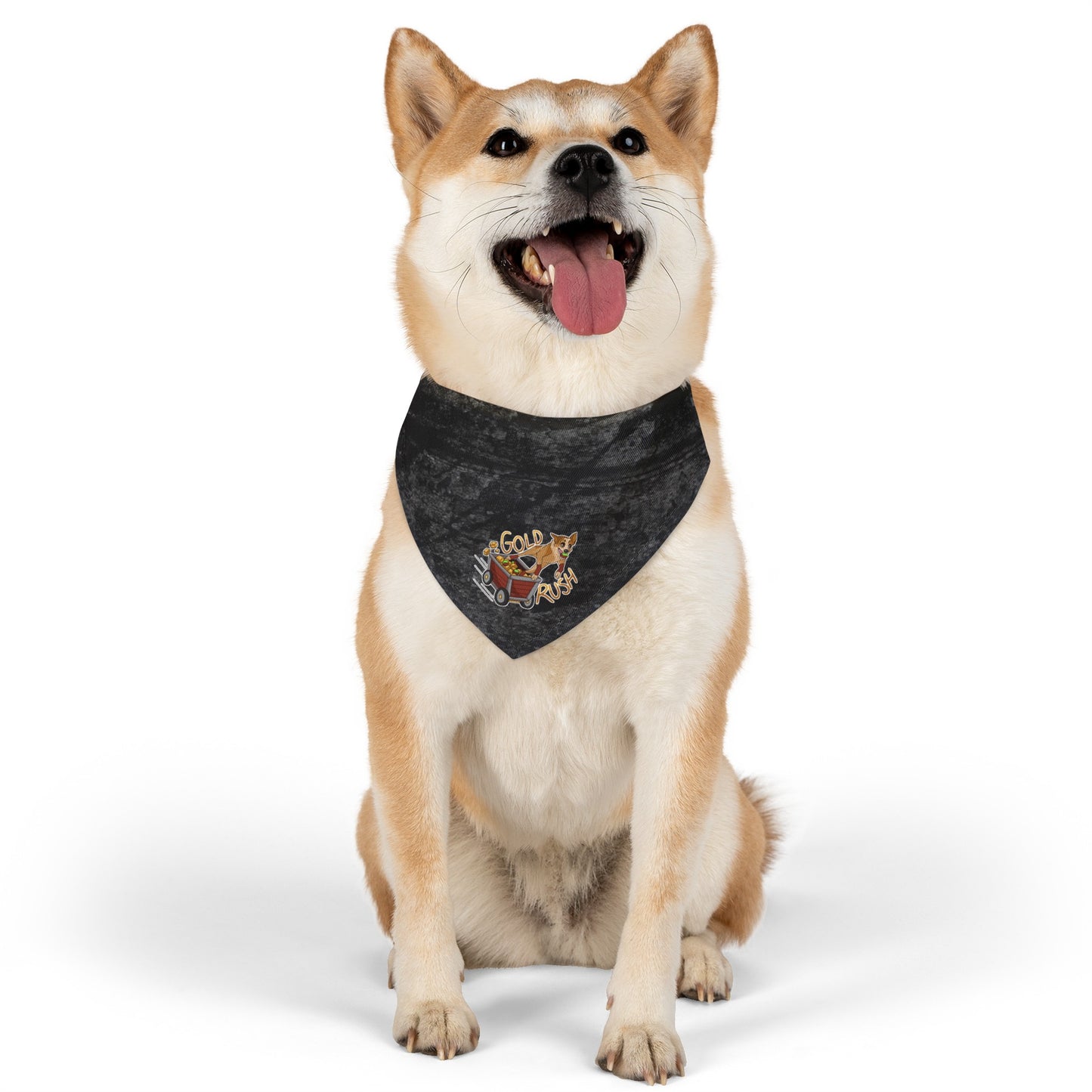 GOLD RUSH FLYBALL Pet Bandana Collar