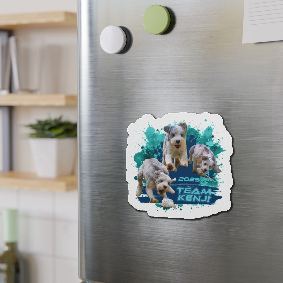KENJI  Magnets