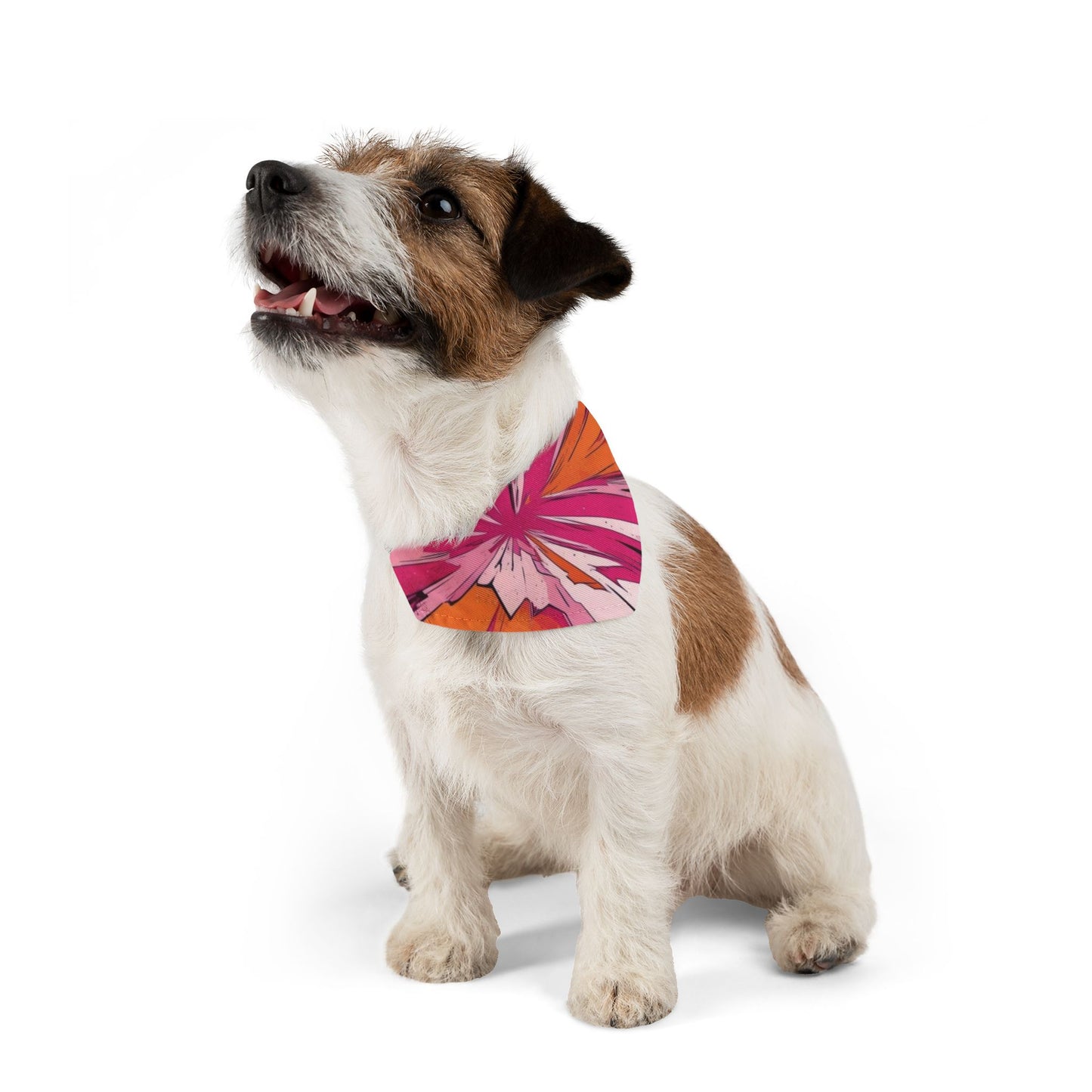 PINK ORANGE #1 Pet Bandana Collar