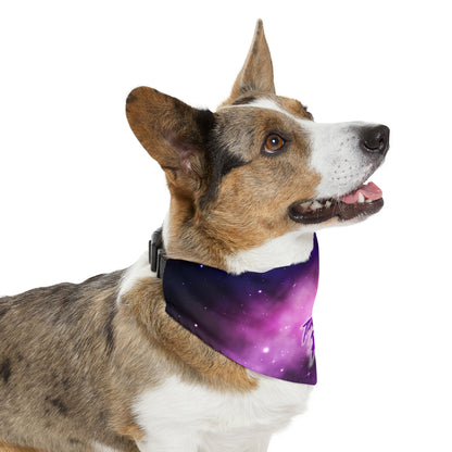 TEAM RAIN Pet Bandana Collar