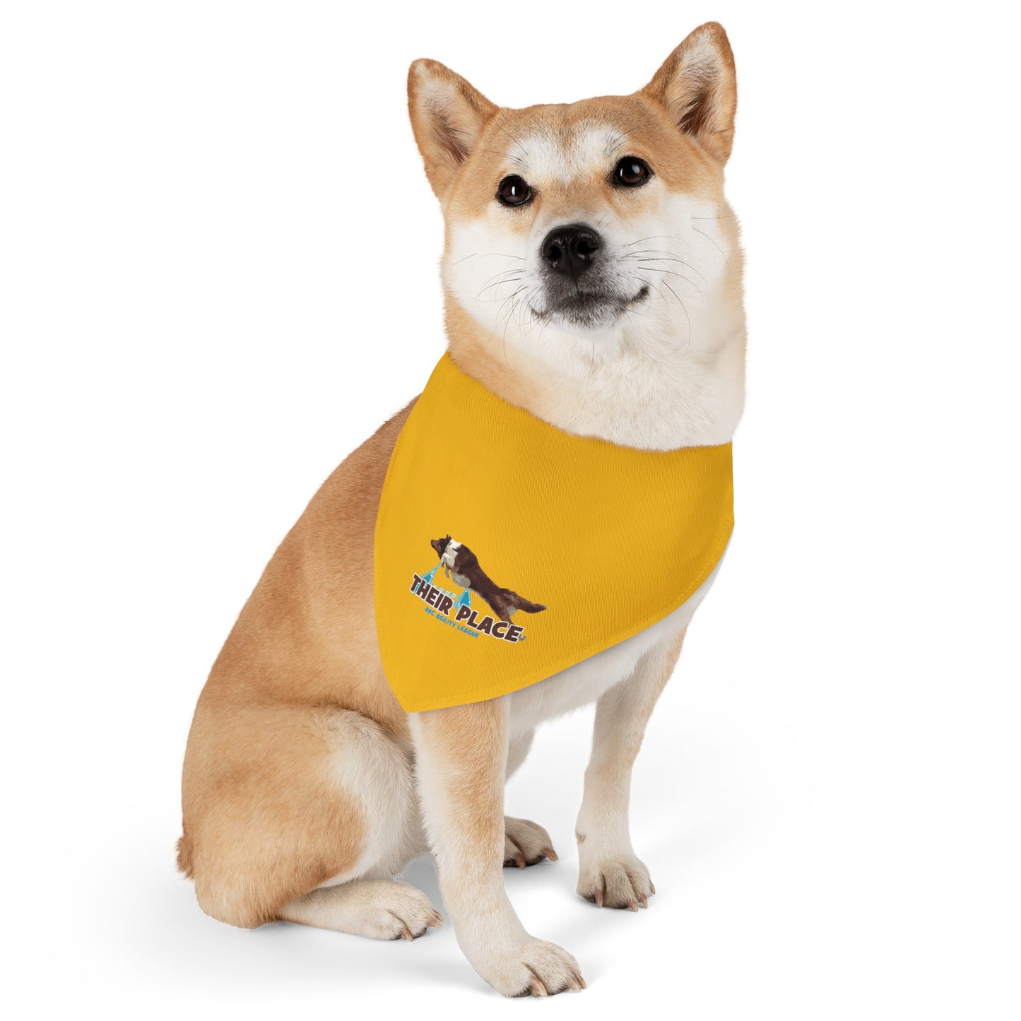 GOLD *AKC AGILITY LEAGUE Pet Bandana Collar