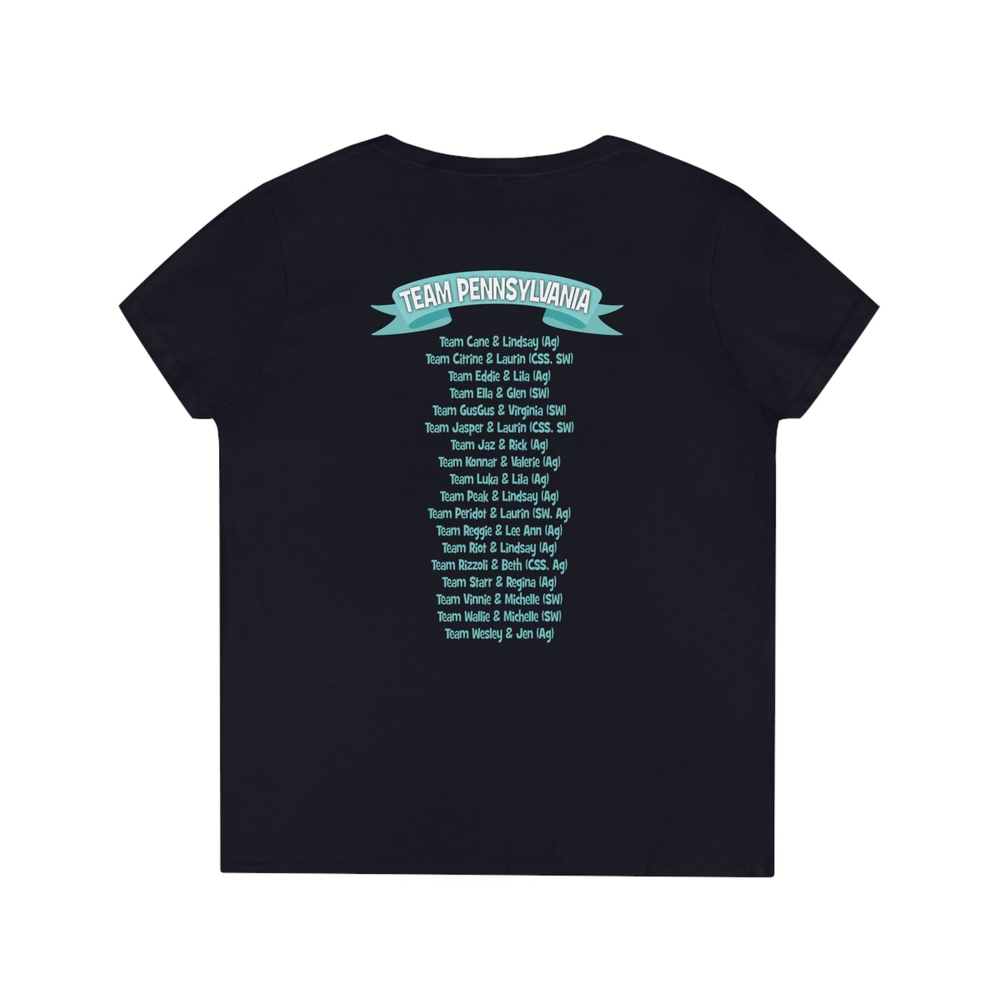 PA CPE Ladies' V-Neck T-Shirt