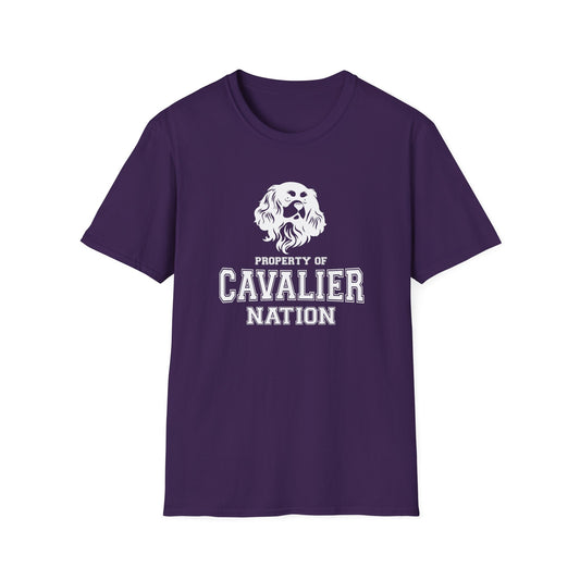 CAVALIER NATION  Unisex Softstyle T-Shirt