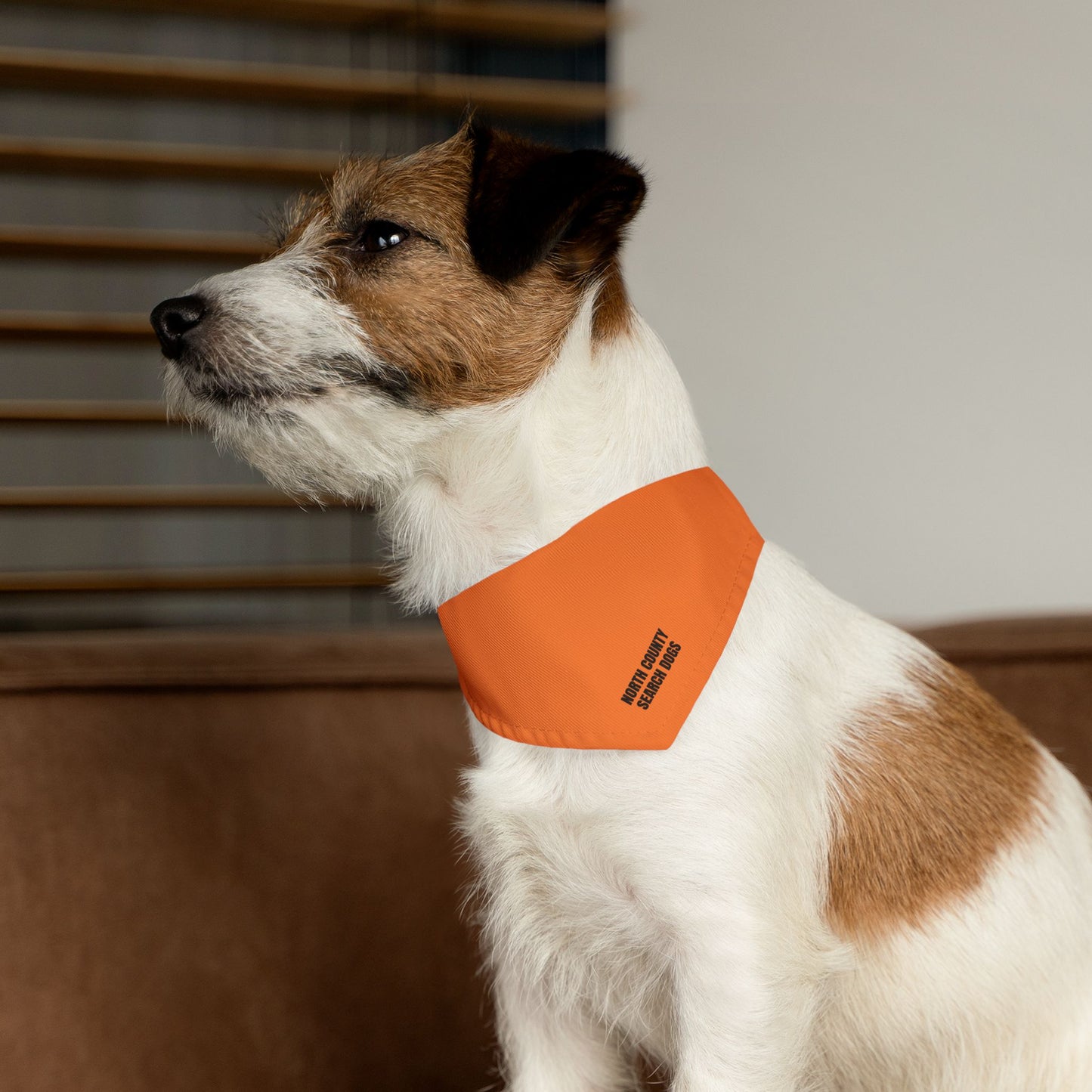 NC SEARCH DOGS Pet Bandana Collar