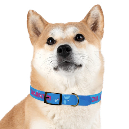 MONTANA NADD Dog Collar