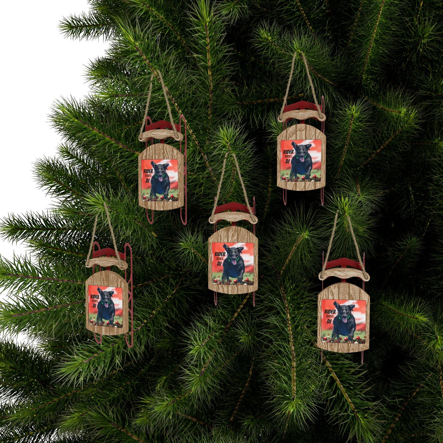 RIDER Sled Ornaments