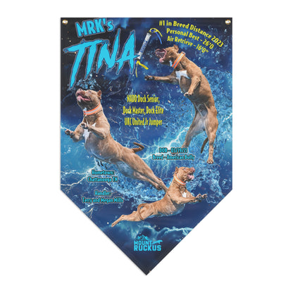 TINA  Pennant Banner