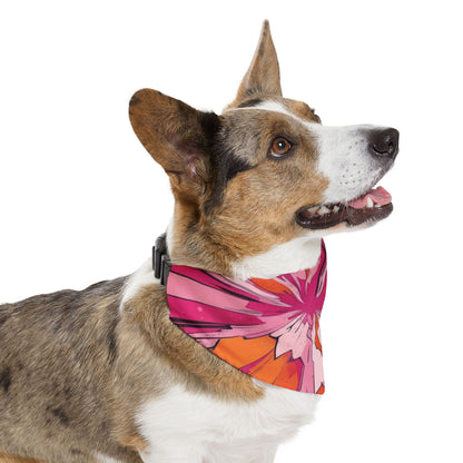 PINK ORANGE #1 Pet Bandana Collar