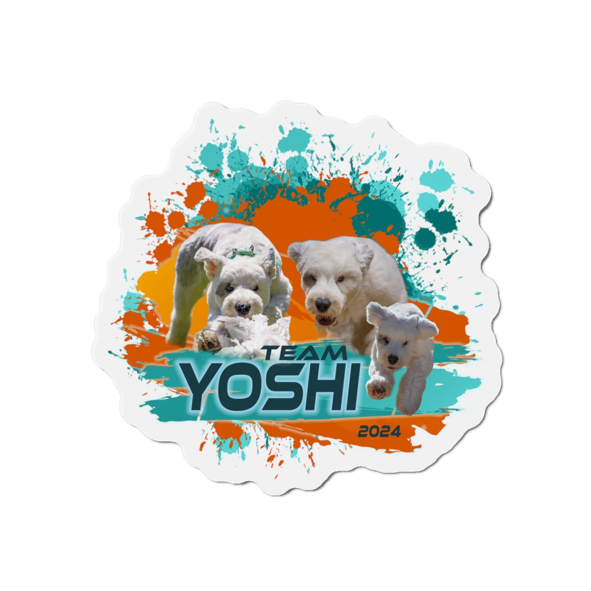 Y O S H I  Magnet