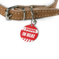 BIS  - IN HEAT RED _ Pet Tag